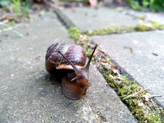 Similar image 22494609