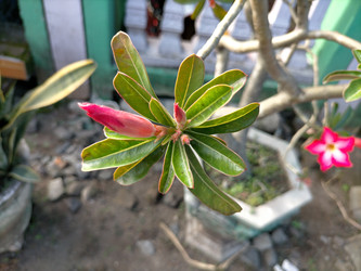 Similar image 22532966