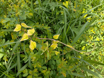 Similar image 22533034