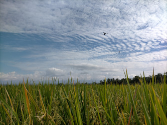 Similar image 22533035