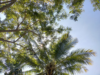 Similar image 22533059