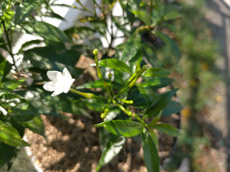 Similar image 22533079