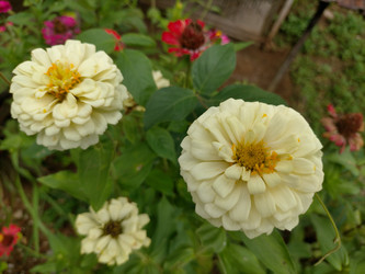 Similar image 22533081