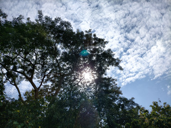 Similar image 22533103