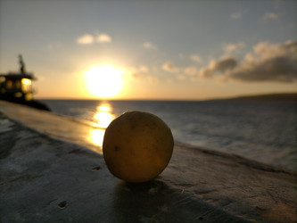 Similar image 22533171