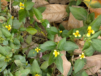 Similar image 22535681