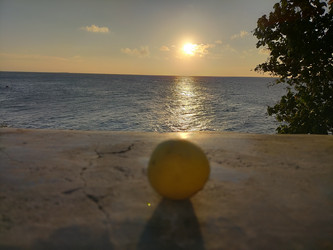 Similar image 22535696