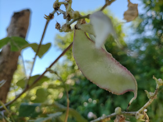 Similar image 22535710