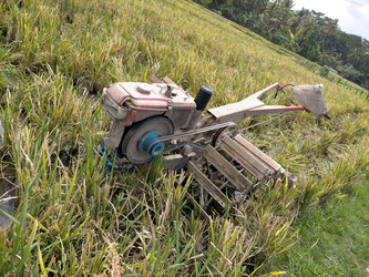 Similar image 22535726