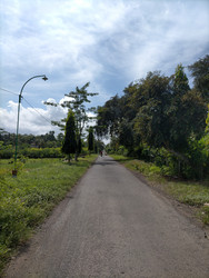 Similar image 22535756