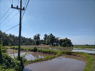 Similar image 22535757