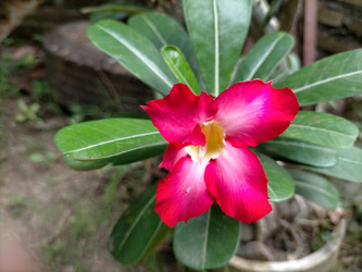 Similar image 22535774