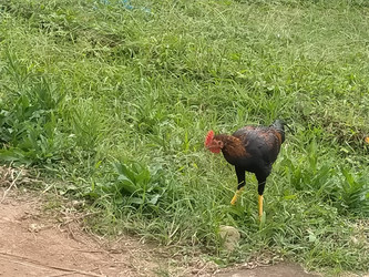 Similar image 22535801