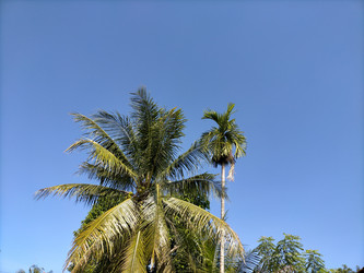 Similar image 22535802