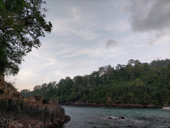 Similar image 22535819