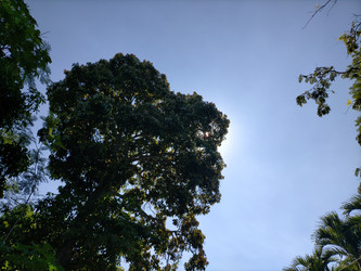 Similar image 22535831