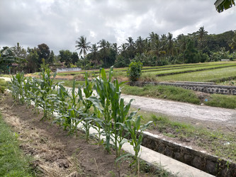 Similar image 22535847