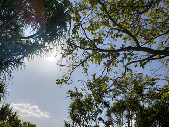 Similar image 22535863