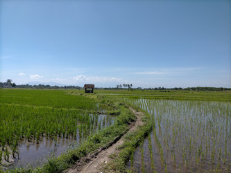 Similar image 22535864