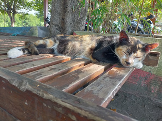 Similar image 22535879