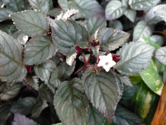 Similar image 22535891