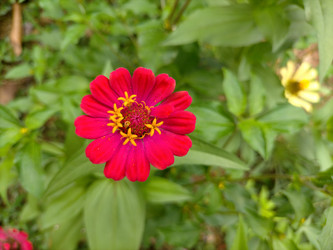 Similar image 22535906