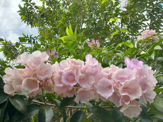 Similar image 22535907