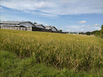 Similar image 22535935