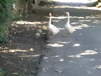 Similar image 22535936