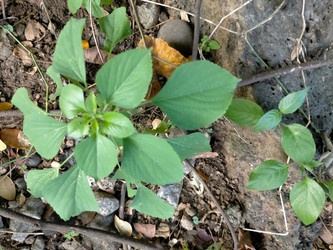 Similar image 22535950