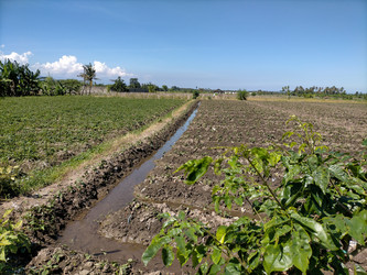 Similar image 22535966