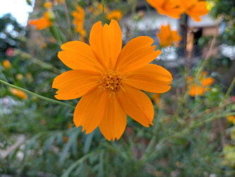 Similar image 22535980