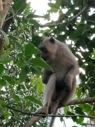 Similar image 22535994