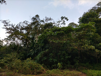 Similar image 22535995