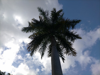 Similar image 22536011