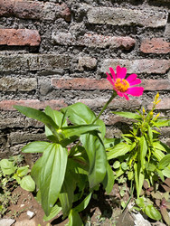 Similar image 22536043