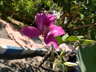 Similar image 22536089