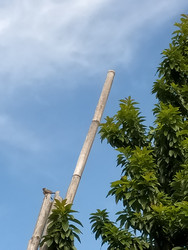 Similar image 22536090