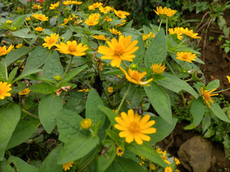 Similar image 22536119