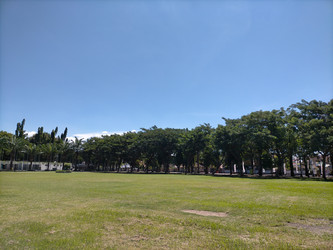 Similar image 22536133