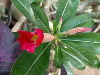 Similar image 22536208