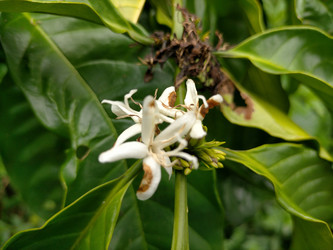 Similar image 22536236