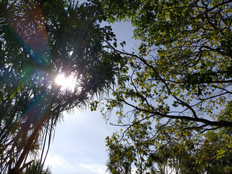 Similar image 22536310