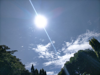 Similar image 22536326