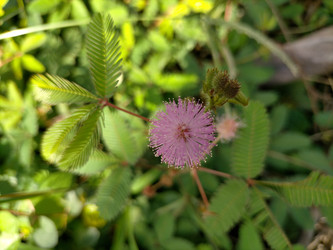 Similar image 22536358