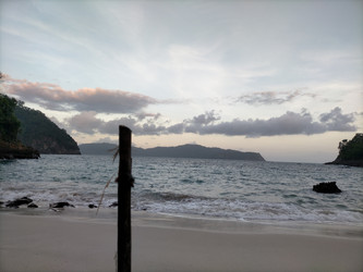 Similar image 22536387