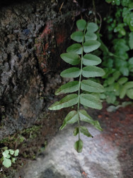 Similar image 22536402