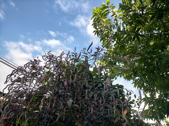 Similar image 22536403