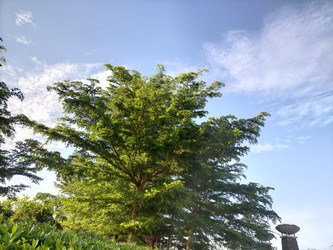 Similar image 22536432