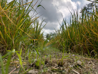 Similar image 22536433